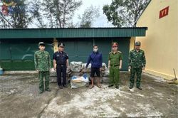 Quảng Ninh: Thu giữ 800kg nầm lợn đ&ocirc;ng lạnh kh&ocirc;ng r&otilde; nguồn gốc.