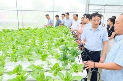 Hà Nội phấn đấu hỗ trợ 10.000 nông dân tiếp cận kỹ năng số