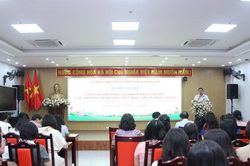 Phường Giảng Võ xây dựng phương án sắp xếp còn 8 trường công lập