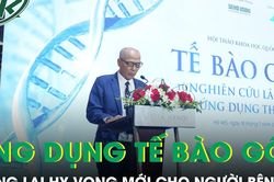 Ứng dụng tế bào gốc mang lại hy vọng mới cho người bệnh