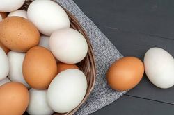 Nên cho trẻ ăn trứng gà hay trứng vịt để trẻ phát triển tốt nhất?