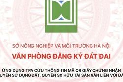 Trách nhiệm khi hai vợ chồng cùng đứng tên trong sổ đỏ