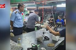 Cận cảnh dây chuyền sản xuất gần 50.000 đôi giày giả nhãn hiệu trị giá hơn 100 tỷ đồng