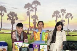 Luật Thương mại điện tử giúp hệ sinh thái số minh bạch, an toàn