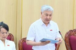Ủy ban Kinh tế và Tài chính của Quốc hội làm việc với tỉnh Quảng Ngãi