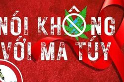 Th&agrave;nh lập BCĐ Trung ương Chương tr&igrave;nh mục ti&ecirc;u quốc gia ph&ograve;ng, chống ma t&uacute;y