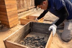 Six Senses C&ocirc;n Đảo ch&agrave;o đ&oacute;n cột mốc 35.000 r&ugrave;a con trở về đại dương
