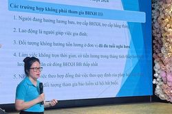 Tập huấn ch&iacute;nh s&aacute;ch bảo hiểm x&atilde; hội, bảo hiểm y tế v&agrave; Luật Việc l&agrave;m cho doanh nghiệp ở H&agrave; Nội
