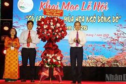 Khai mạc Lễ hội 'Cù Lao Chàm - Mùa hoa ngô đồng đỏ' năm 2026