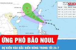 21 địa phương ven biển chủ động ứng ph&oacute; b&atilde;o NOUL v&agrave; gi&oacute; mạnh tr&ecirc;n biển