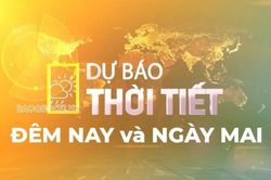 Dự báo thời tiết hôm nay 24/7: Bắc Bộ mưa vừa, mưa to, cục bộ mưa rất to; Nam Bộ chiều tối, đêm mưa rào rải rác
