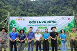 Chung tay phục hồi 72 ha rừng tự nhi&ecirc;n T&acirc;y Bắc