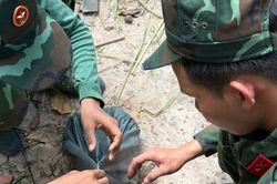 Tây Ninh kêu gọi cung cấp thông tin về hố chôn tập thể nghi có liệt sĩ ở Cầu Vịnh