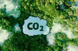 Tin tức kinh tế ng&agrave;y 24/7: Việt Nam x&acirc;y dựng dự &aacute;n cắt giảm 6,1 triệu tấn CO2 mỗi năm