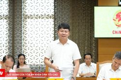 Hoàn thành báo cáo tổng rà soát văn bản quy phạm pháp luật trước ngày 2/8