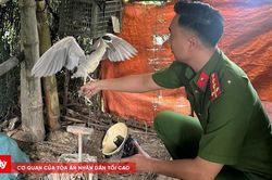 Xử phạt trường hợp săn bắt, nuôi nhốt động vật hoang dã