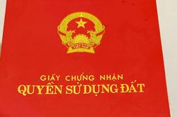 Vi phạm đất đai trước 1/8/2024 có thể được cấp sổ đỏ, sau mốc này xử lý nghiêm