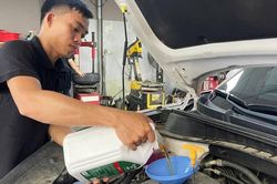 Thiếu dầu nhớt ô tô, dùng tạm dầu cho xe máy có hại động cơ?
