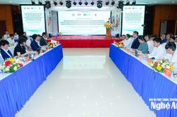 Khởi động Dự &aacute;n tăng cường năng lực cảnh b&aacute;o sớm, ứng ph&oacute; v&agrave; phục hồi sau thi&ecirc;n tai tại Nghệ An