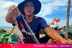Ngư d&acirc;n H&agrave; Tĩnh tr&uacute;ng m&ugrave;a ghẹ, t&ocirc;m t&iacute;t, thu tiền triệu mỗi ng&agrave;y