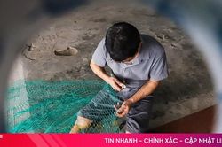 Hơn 30 năm giữ nghề vá lưới ở vùng biển Thiên Cầm