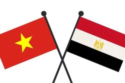 Điện mừng kỷ niệm lần thứ 74 Ng&agrave;y Quốc kh&aacute;nh Cộng h&ograve;a Arab Ai Cập