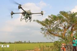 Bộ N&ocirc;ng nghiệp v&agrave; M&ocirc;i trường sẽ đ&agrave;o tạo tr&ecirc;n 550.000 n&ocirc;ng d&acirc;n số