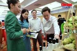 Nông sản, thủy sản Việt Nam trước sức ép tiêu chuẩn từ EU và Anh