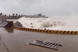 Từ Quảng Ninh đến An Giang chủ động ứng ph&oacute; với gi&oacute; mạnh v&agrave; b&atilde;o NOUL