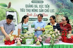 Đa dạng hình thức quảng bá và tiêu thụ đặc sản na núi đá Lạng Sơn