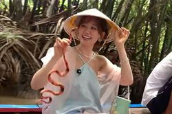Hơn nửa triệu người xem clip Hari Won cầm rắn