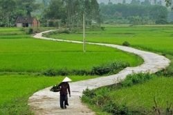Cổng rào làm sao ngăn mà không cách