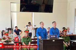 Vợ chồng hờ cùng tổ chức sử dụng, mua bán ma túy