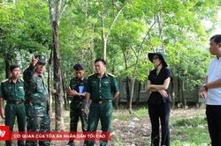 Tây Ninh kêu gọi cung cấp thông tin tìm hài cốt liệt sĩ ở xã Hảo Đước