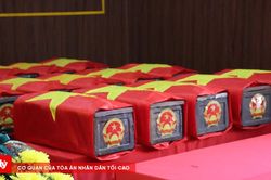 Phát hiện thêm 4 bộ hài cốt liệt sĩ tại Công viên Lê Thị Riêng