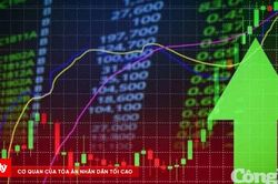 Chứng khoán kết phiên 24/7: VN-Index phục hồi, dòng tiền bắt đáy nhập cuộc