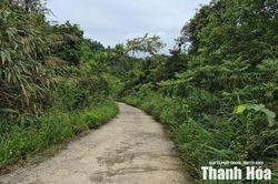Chờ đất... (Bài 1): Hơn 3 thập kỷ dang dở giấc mơ 'an cư'