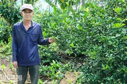 N&acirc;ng gi&aacute; trị chanh ch&uacute;c
