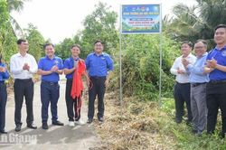 Vĩnh Phong đưa v&agrave;o sử dụng tuyến đ&egrave;n năng lượng mặt trời phục vụ người d&acirc;n