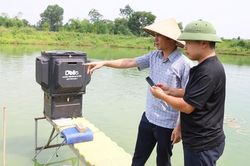Khảo s&aacute;t, hỗ trợ ti&ecirc;u thụ, xuất khẩu c&aacute; r&ocirc; phi tại Bắc Ninh