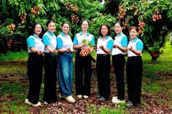 Bắc Ninh: Kh&eacute;o d&acirc;n vận, khơi sức d&acirc;n x&acirc;y dựng n&ocirc;ng th&ocirc;n mới