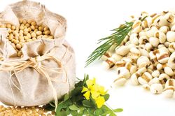 'Siêu ngũ cốc cổ' có gì khiến thế giới săn đón?
