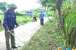 D&acirc;n đồng thuận từ c&aacute;c m&ocirc; h&igrave;nh s&aacute;t với thực tế