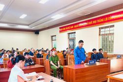 Xét xử lưu động vụ trộm sâm Ngọc Linh