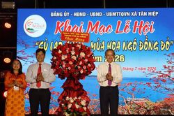 Khai mạc lễ hội 'Cù Lao Chàm - mùa hoa ngô đồng đỏ' năm 2026