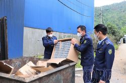 Siết chặt quản l&yacute; vi phạm bản quyền, sở hữu tr&iacute; tuệ