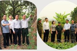 Lắng nghe dân, giải quyết việc dân