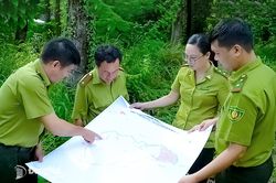 Bảo vệ 'L&aacute; phổi xanh' của Đ&ocirc;ng Nam Bộ