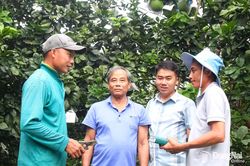 Quy định mới về x&atilde; hội h&oacute;a trong hoạt động khuyến n&ocirc;ng