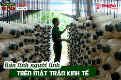 [Chuỗi video] Th&aacute;ng Bảy tri &acirc;n: Bản lĩnh người cựu chiến binh tr&ecirc;n mặt trận kinh tế